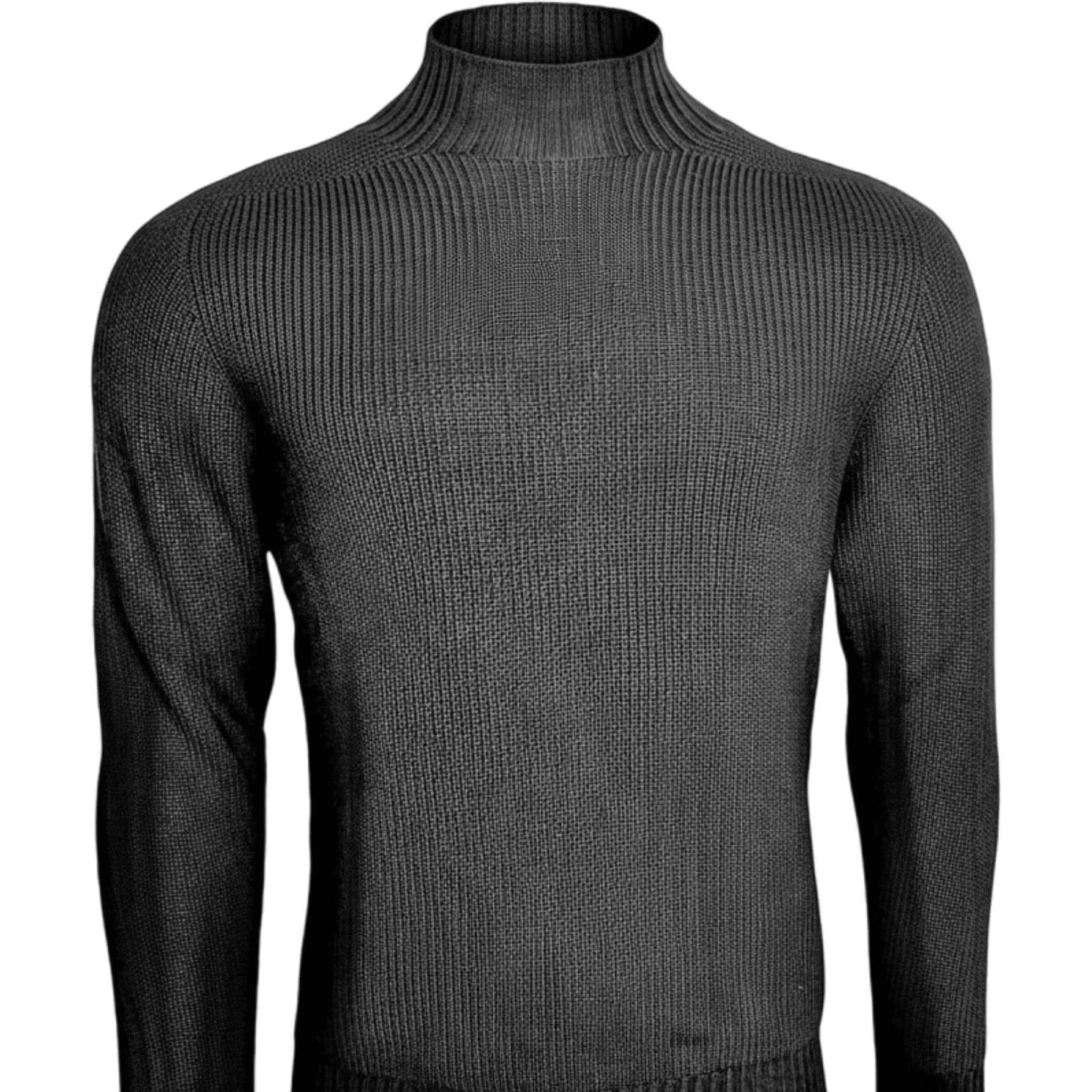 UNIT Hamburg - Gran Sasso, Rainwool Turtleneck, schwarz - Gran Sasso